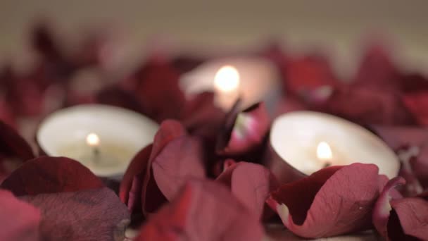 Tea Light Candles Burning Red Rose Petals Dropping Background — 图库视频影像