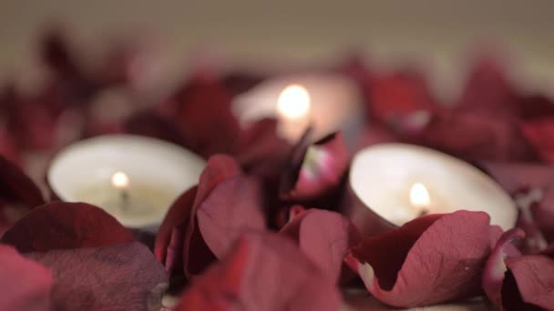 Tea Light Candles Burning Red Rose Petals Dropping Background — Vídeo de stock