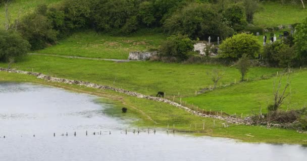 Tiempo Caducidad Naturaleza Paisaje Colinas Lago Día Nublado Irlanda — Vídeos de Stock