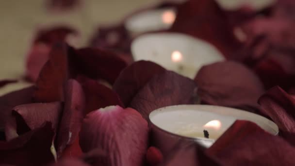 Tea Light Candles Burning Bed Red Rose Petals — Stockvideo
