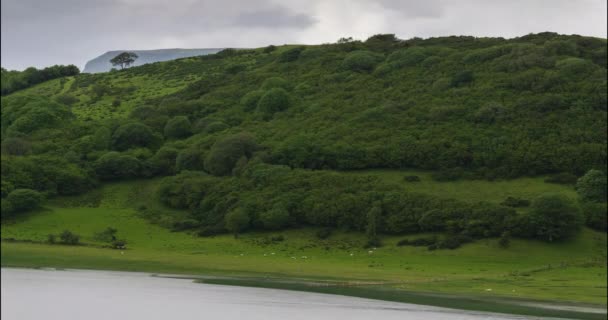 Tiempo Caducidad Naturaleza Paisaje Colinas Lago Día Nublado Irlanda — Vídeos de Stock