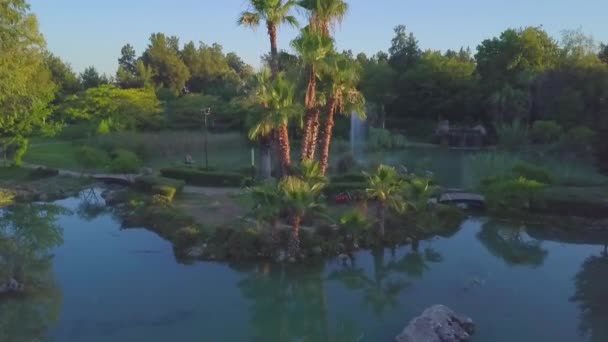 Palm Lake Green Trees City — Stockvideo
