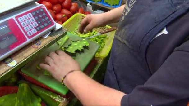 Werknemer Snijden Cactus Een Markt Mexico — Stockvideo