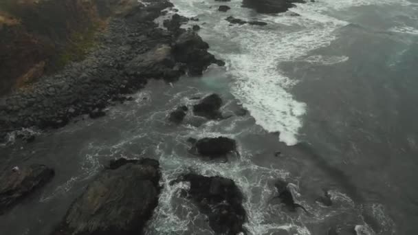 Aerial Drone Shot Flying Coast While Waves Crash Rocks Cloudy — 图库视频影像