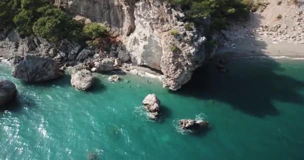 Spiaggia Baia Alberi Verdi Rocce — Video Stock