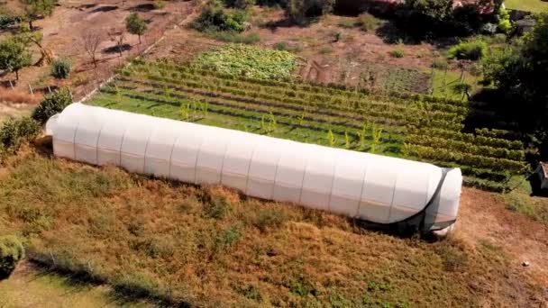 Aerial Drone Footage Orbiting Plastic Greenhouse Garden Agriculture Concept Greenhouse — Vídeos de Stock