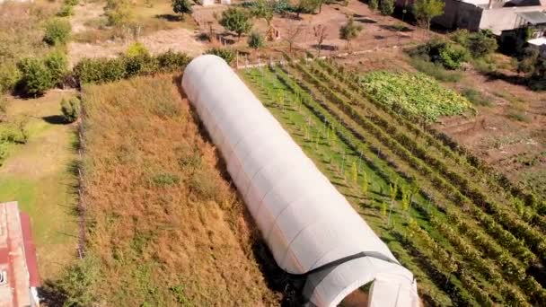 Aerial Drone Footage Orbiting Plastic Greenhouse Garden Agriculture Concept Greenhouse — Stockvideo