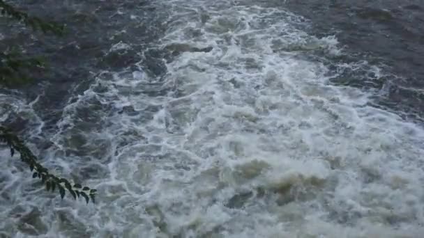 Slow Motion Fast Water Stream Речной Поток — стоковое видео
