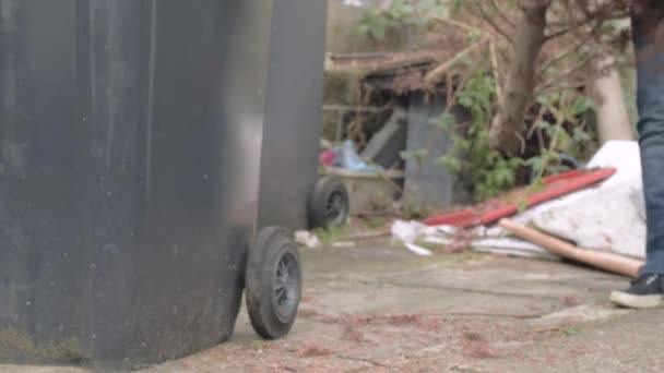 Mujer Moviendo Árbol Navidad Muerto Para Recolección Reciclaje — Vídeo de stock