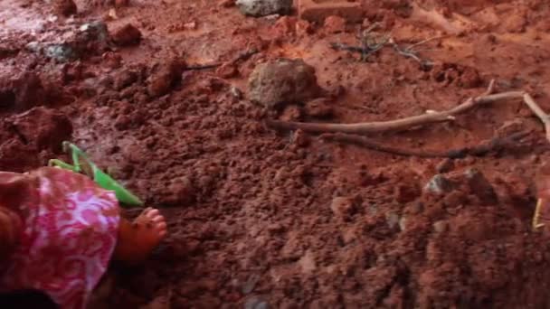 Deslizador Barro Muñeca Sucia Suelo Con Insecto Mantis Caminando Sobre — Vídeo de stock
