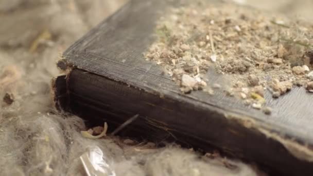 Wind Blowing Dust Dirty Ancient Book — 图库视频影像