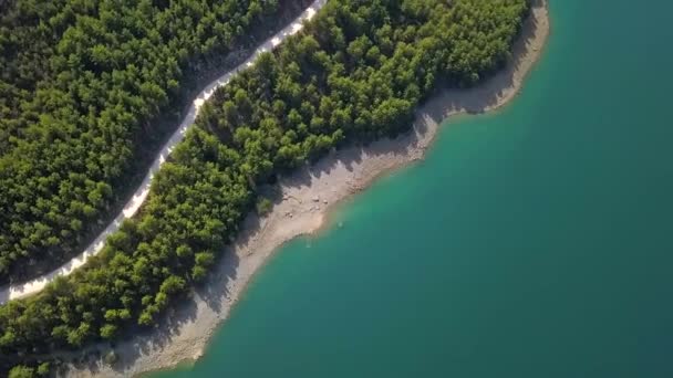 Εναέρια Δασική Λίμνη Πράσινα Δέντρα — Αρχείο Βίντεο