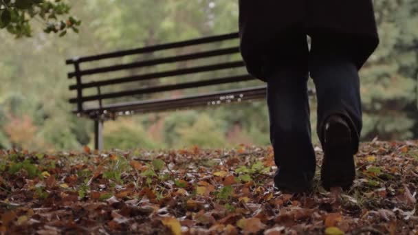 Relaxing Walk Autumn Leaves Park Bench Background — Stockvideo
