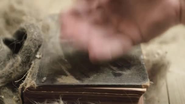 Pulizia Polvere Vecchio Libro Sporco Ammuffito Aprire Pagine — Video Stock