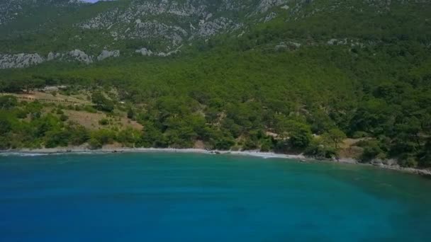 Strand Über Fliegendem Waldmeer — Stockvideo