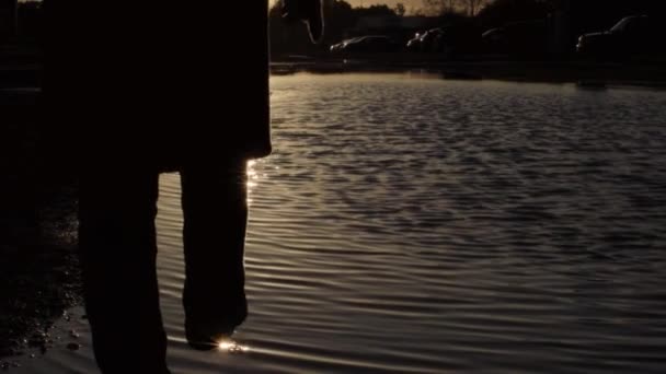 Silhouette Person Walking Ripples Water Sunset — Stock video