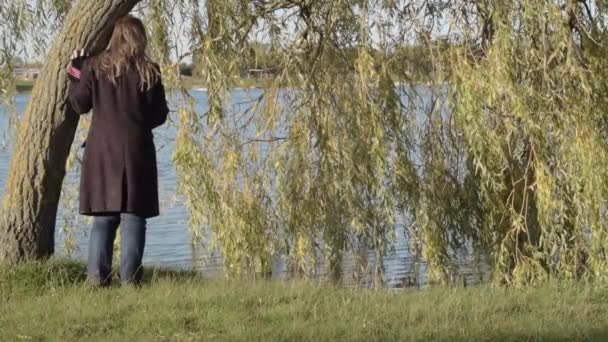 Woman Standing Weeping Willow Tree Water Side — Stock video