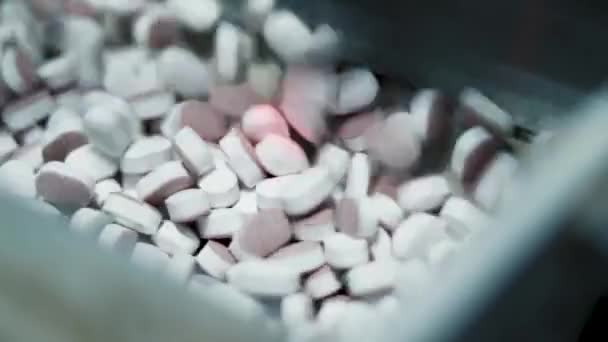 Pink White Pills Gather Container Transport Another Machinery Medicine Factory — Vídeos de Stock