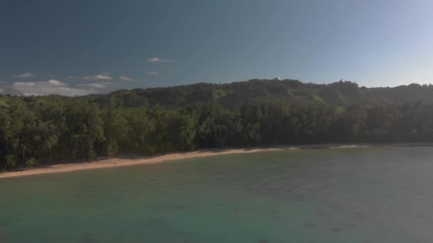 Aerial View Hawaii Turtle Beach Island Oahu — Stock videók