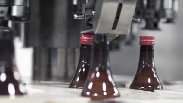 Bottled Medicine Syrup Sealing Machine Work Medicine Making Factory Guwahati — Stockvideo