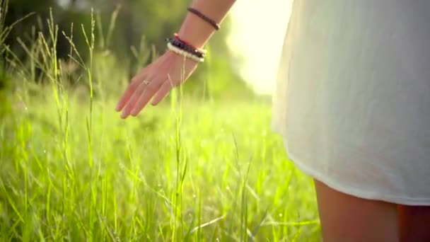 Young Woman White Dress Walking Meadow Gently Touching Grass Morning — Vídeo de Stock