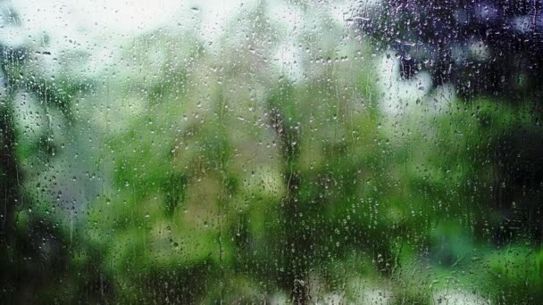 Wet Windowpane Rainy Day Garden View Rainy Weather Window — Videoclip de stoc