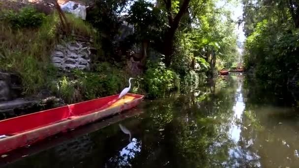 Riding Traditional Boat Trajinera Xochimilco Mexico — Vídeos de Stock