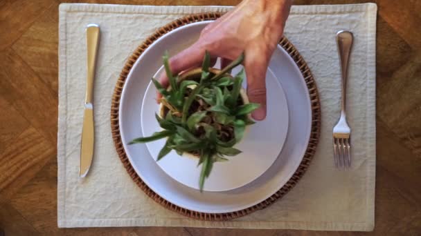 Plant Pot Dinner Plate Cutlery Person Picks Turns Side — Stok Video