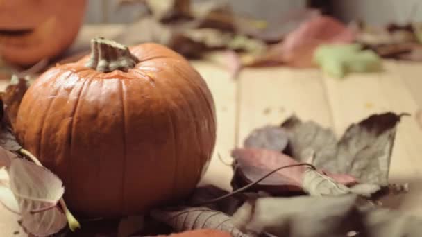 Ripe Pumpkin Colorful Autumn Leaves Moving Breeze Blows — Video