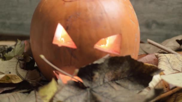 Halloween Carved Pumpkin Autumn Leaves Moving Breeze Blows — Vídeos de Stock