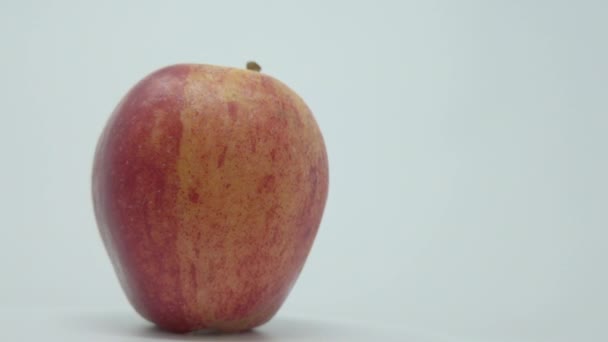 Gala Apple One Apple Thats Rotations — стоковое видео