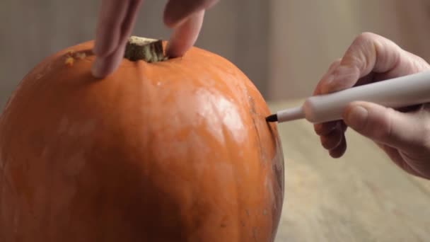 Drawing Pumpkin Halloween Jack Lantern — Video