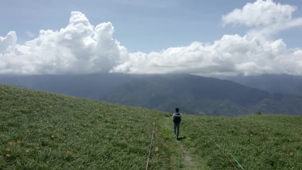 Aerial Tracking Shot Flyover Young Male Walking Grass Mountain — Stockvideo