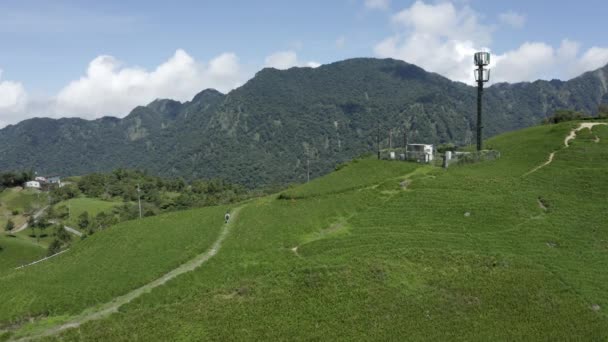 Aerial Video Person Walking Grass Field — Stockvideo