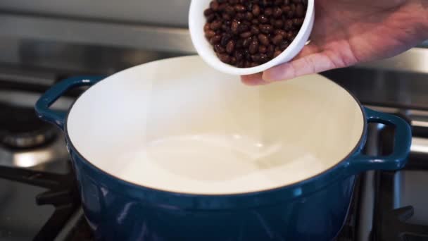 Hand Pours Bowl Black Beans Large Blue Oven Dish Stove — Wideo stockowe