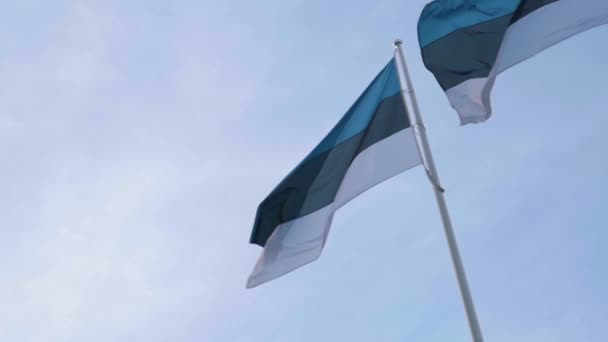 Один Эстонский Флаг Развевающийся Ветру Замедленной Съемке — стоковое видео
