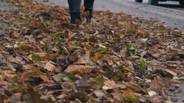 Girl Walking Kicking Fall Yellow Orange Dusty Leaves Slow Motion — Stockvideo