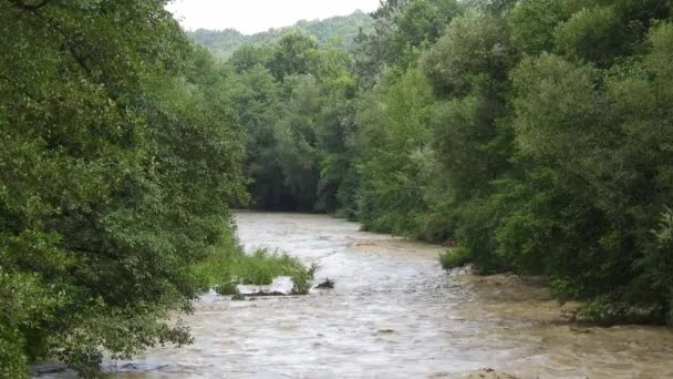 Stirred River Taking Its Way Trees Powerful Storm Muddy Water — Stock videók