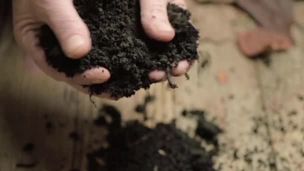 Pair Hands Holding Rich Fertile Soil — Stock video