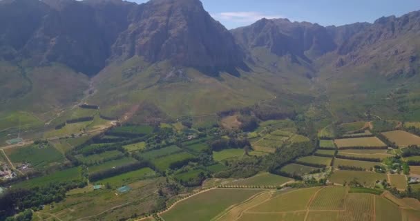 Wide Angle Drone Shot Tilting Farmland Banhoek Valley — Stock videók