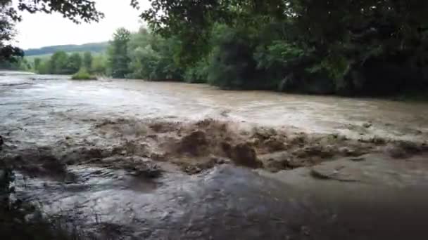 Small River Formed Forest Rain Making Its Way Trees Muddy — Stockvideo