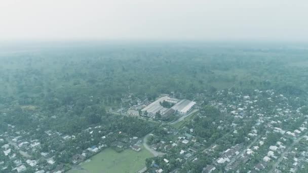 Aerial View Beautiful Village Surrounded Trees Tropical Forest Large Field — Video Stock