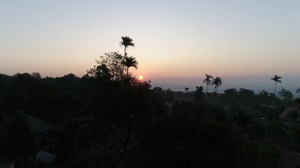 Пышная Растительность Высокие Пальмы Индийской Деревни Возле Тропического Залива Омытые — стоковое видео