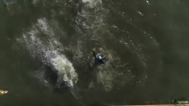 Aerial View Swimmers Water Competition — Vídeos de Stock