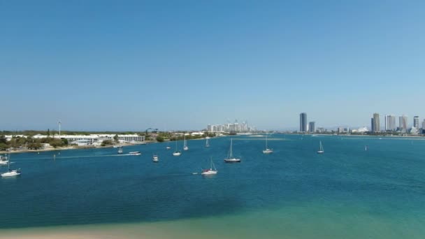 Aerial View Gold Coast Seaworld Park Sail Boats Moving Sunshine — Video Stock