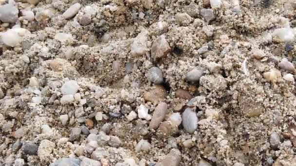 Butiran Pasir Dengan Batu Dalamnya Lambat Gerak Menutup Tembakan — Stok Video