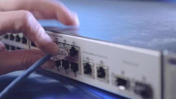 Network Engineer Securing Ethernet Cables Switch — Stockvideo