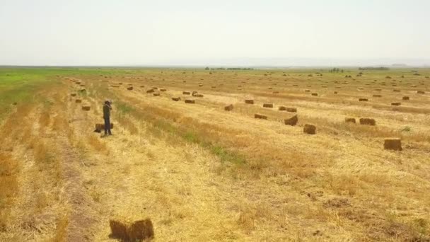 Fly Photographer Man Camera Crop Golden Wheat Rye Field Stook — Videoclip de stoc