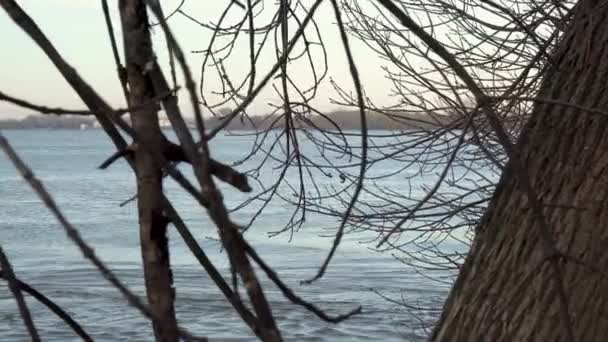 Blurred Moving River Forest Trees Slow Motion Cinematic Footage — Vídeo de stock