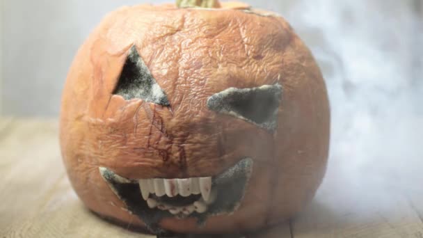 Rotten Moldy Halloween Pumpkin Smokey Atmosphere — Stockvideo
